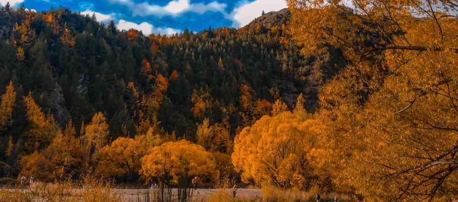 Arrowtown