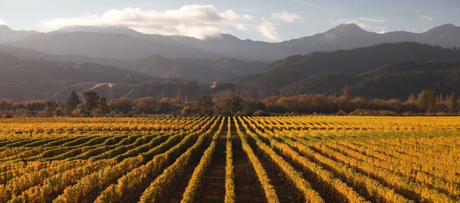 Marlborough conference venues