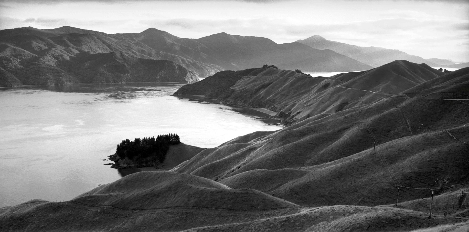 Te Kawau-a-toru, Marlborough. Michael Hall.