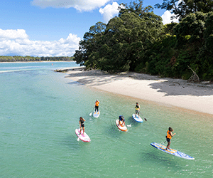 Bay of Plenty