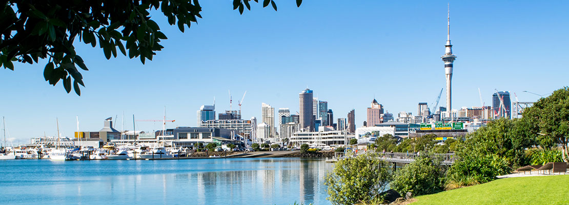 Watch the video on Auckland