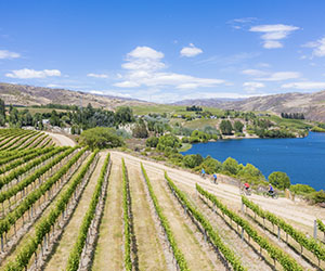 Central Otago