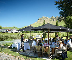 Hawke's Bay
