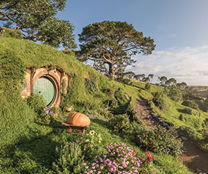 Waikato